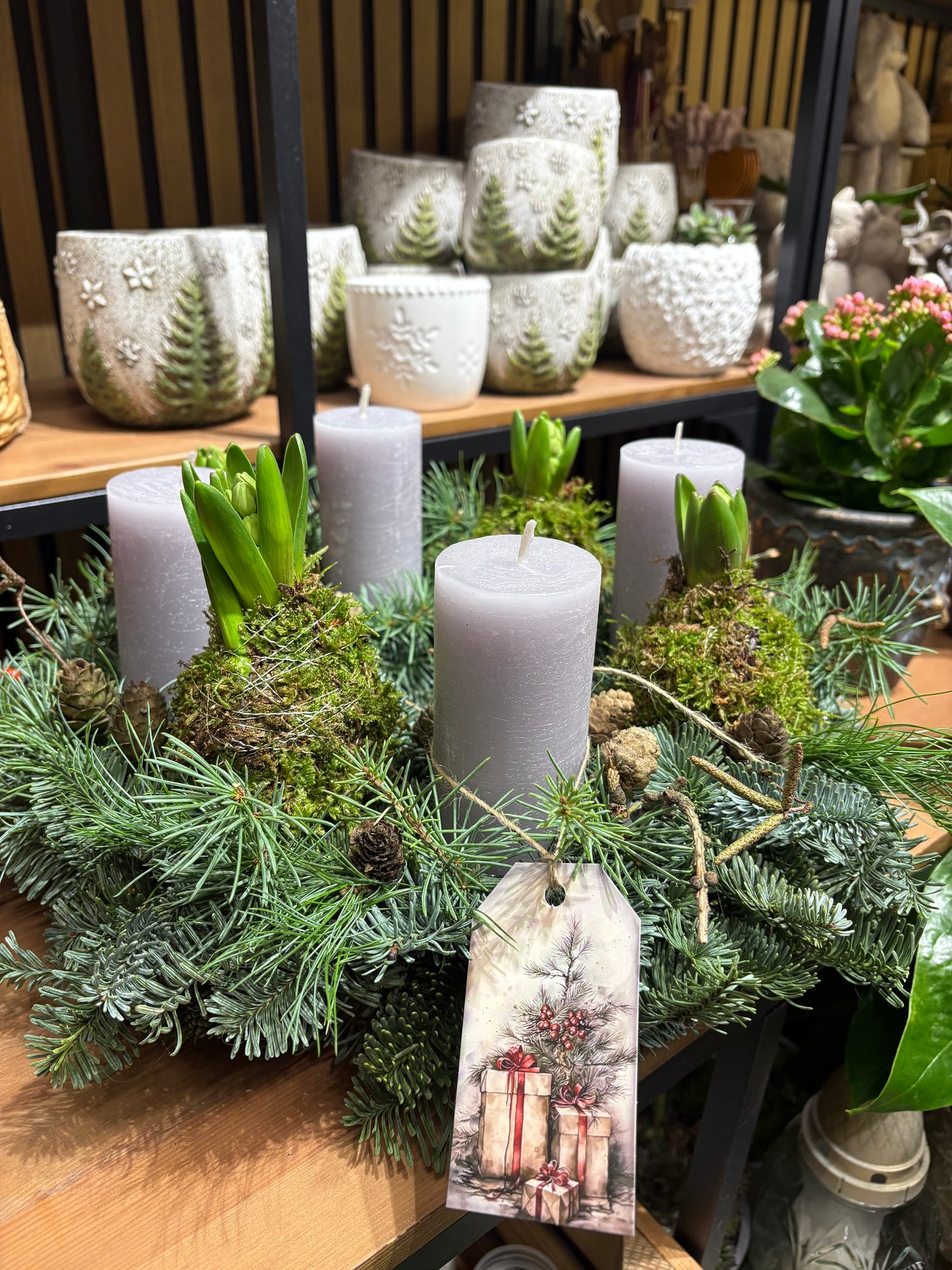 Adventní svícen- hyacint