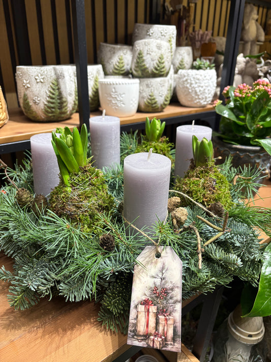 Adventní svícen- hyacint