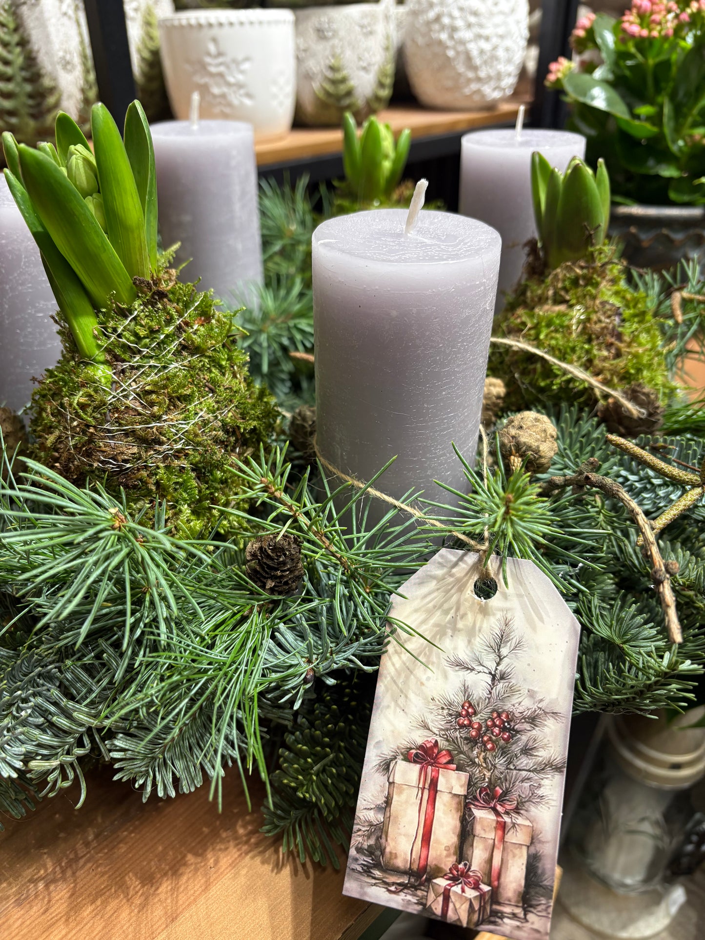 Adventní svícen- hyacint